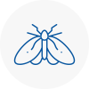 Moth Control Specialists In Welling